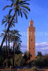 MOROCCO, Marrakesh, Bab Doukkala Mosque minaret (view through palm trees), MOR173JPL