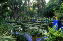 MOROCCO, Marrakesh, Majorelle Gardens (of Yves  St Laurent), MOR125JPL