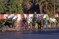 MOROCCO, Marrakesh, horse drawn carriages (caleches), MOR369JPL