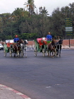 MOROCCO, Marrakesh, horse drawn carriages (caleches) taxis, MOR360JPL