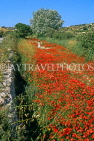Malta, GOZO, Poppy fields, countryside, MLT667JPL
