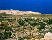 Malta, GOZO, farmed landscape and coast, MLT510JPL