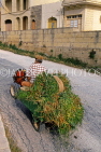 Malta, GOZO, farmer driving small tractor, MLT737JPL