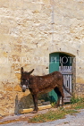 Malta, GOZO, farmhouse and donkey, MLT685JPL