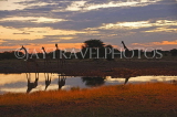 NAMIBIA, Etosha National Park, Giraffes, sunset, NAM200JPL