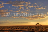 NAMIBIA, Etosha National Park, savanah at sunset, NAM205JPL