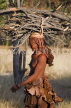 NAMIBIA, Himba tribe woman carrying firewood, NAM214JPL