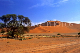 NAMIBIA, Sesriem, sand dunes, NAM120JPL