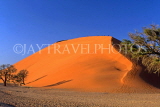NAMIBIA, Sesriem, sand dunes and trees, NAM118JPL