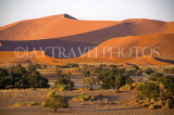 NAMIBIA, Sossusvlei National Park, sand dunes, NAM137JPL