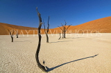 NAMIBIA, Sossusvlei National Park, sand dunes and dead trees, NAM141JPL