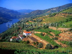 PORTUGAL, Duoro Valley, vineyards and Duoro River (near Serra do Marao area), POR598JPL