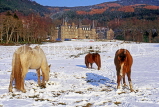 SCOTLAND, Highlands, Trossachs, Tigh Mor, horses and castle, winter, snow, SCO817JPL