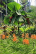 SINGAPORE, Botanic Gardens, Orchid Garden, SIN1046JPL