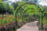 SINGAPORE, Botanic Gardens, Orchid Garden, SIN1049JPL