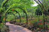 SINGAPORE, Botanic Gardens, Orchid Garden, SIN1051JPL