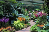 SINGAPORE, Botanic Gardens, Orchid Garden, SIN1080JPL