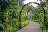 SINGAPORE, Botanic Gardens, Orchid Garden, archway of Oncidium Orchids, SIN1039JPL
