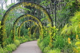 SINGAPORE, Botanic Gardens, Orchid Garden, archway of Oncidium Orchids, SIN1042JPL