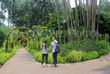 SINGAPORE, Botanic Gardens, Orchid Garden, archway of Oncidium Orchids, SIN1048JPL