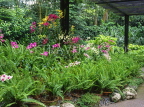 SINGAPORE, Botanical Gardens, Orchids, SIN533JPL