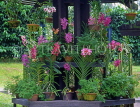 SINGAPORE, Botanical Gardens, Tropical Gardens, Orchids, SIN397JPL
