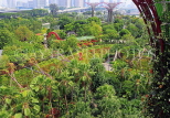 SINGAPORE, Gardens by the Bay, SIN460JPL