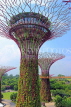 SINGAPORE, Gardens by the Bay, Supertree Grove, SIN448JPL