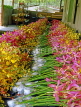 SINGAPORE, Mandai Orchid Garden, orchid bunches prepared for export, SIN401JPL