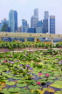 SINGAPORE, Marina Bay promenade, lily pond, and Singapore skyline, SIN1303JPL
