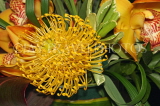 SOUTH AFRICA, Protea flower, SA1355JPL