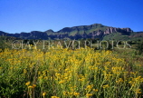 SOUTH AFRICA, Western Cape, Cape Point Nature Reserve landscape, SA1265JPL