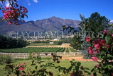 SOUTH AFRICA, Western Cape, Franschoek and Mont Rochelle vineyards, SA1267JPL