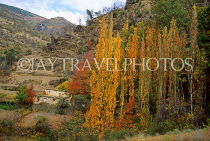 SPAIN, Andalucia, ALPUJARRAS, Sierra Nevada, POQUEIRA GORGE, autumn scenery, SPN132JPL