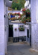 SPAIN, Andalucia, ALPUJARRAS, Travelez, street with whitewashed houses and flower pots, SPN29JPL