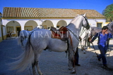 SPAIN, Andalucia, CADIZ, Lippizaner horses at Spanish Riding School, SP142JPL