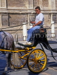 SPAIN, Andalucia, SEVILLE, horse & carriage driver, SPN730JPL
