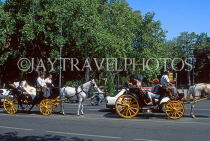 SPAIN, Andalucia, SEVILLE, tourists and wedding couple on horse & carriage rides, SPN797JPL
