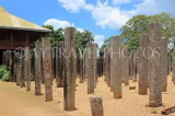 SRI LANKA, Anuradhapura, Lovamahapaya (Brazen Palace) ruins, stone pillars, SLK5591JPL