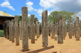 SRI LANKA, Anuradhapura, Lovamahapaya (Brazen Palace) ruins, stone pillars, SLK5592JPL