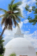 SRI LANKA, Anuradhapura, Mirisaweti dagaba (stupa), SLK5637JPL