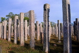 SRI LANKA, Anuradhapura, ruins of the Brazen Palace, stone columns, SLK2248JPL