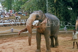 SRI LANKA, Colombo, Dehiwela Zoo, Elephant show, elephant lifting mahout, SLK1781JPL