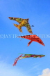 SRI LANKA, Colombo, Galle Face Green, and kite flying, SLK5221JPL
