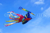 SRI LANKA, Colombo, Galle Face Green, kite flying, SLK5238JPL