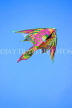 SRI LANKA, Colombo, Galle Face Green, kite flying, SLK5239JPL
