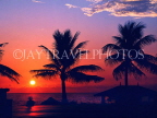 SRI LANKA, Colombo, Galle Face Hotel grounds, sunset and coconut trees, SLK196JPLA