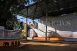 SRI LANKA, Gampola, Saliyalapura Temple, longest reclining Buddha statue in SE Asia, SLK3267JPL