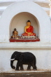 SRI LANKA, Gampola, Saliyalapura Temple, shrine with Buddha statue and elephant, SLK3266JPL