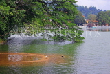 SRI LANKA, Kandy, Kandy Lake, SLK3731JPL